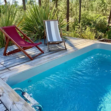 Les Mimosas With Pool And Fantastic Views Hébergement de vacances *